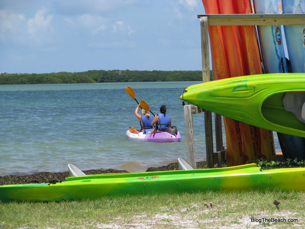 Kayaking to Caladesi Blog The Beach