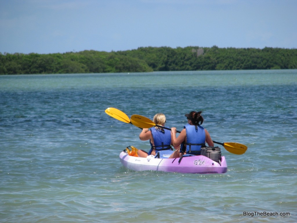 Honeymoon Island Blog The Beach