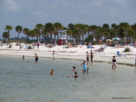 Fred Howard Park Beach