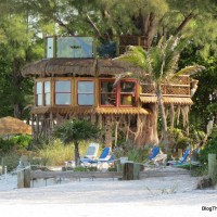 Holmes Beach treehouse