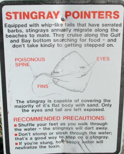 stingray warning sign