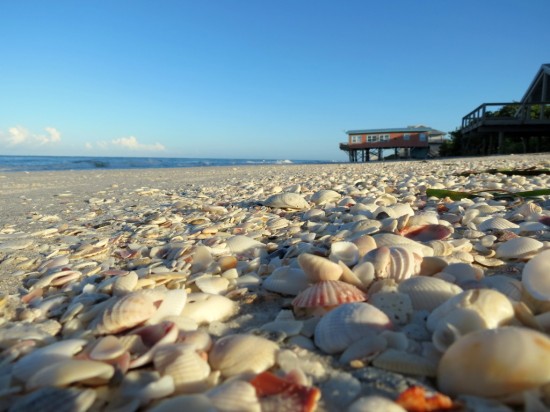 Little Gasparilla Island beach