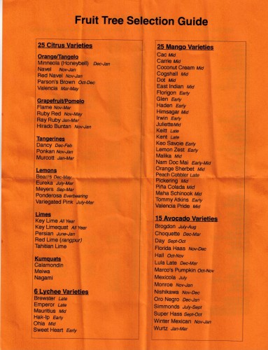 Fruit trees available at Pine Island Fruit Market groves.