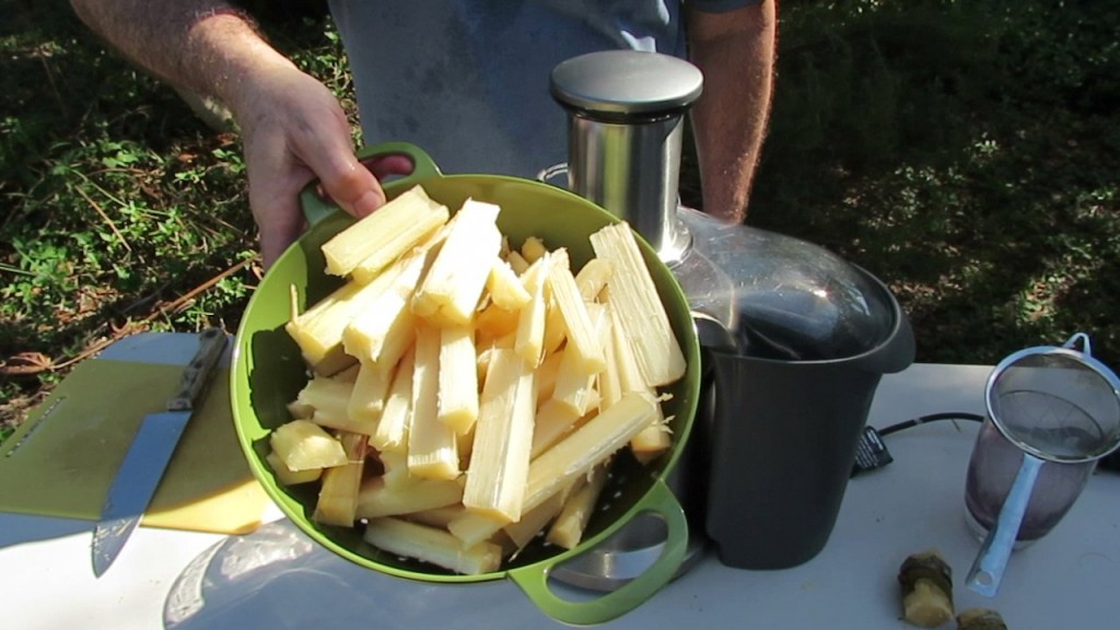 How to Juice Sugar Cane with a Breville Juicer Blog The Beach