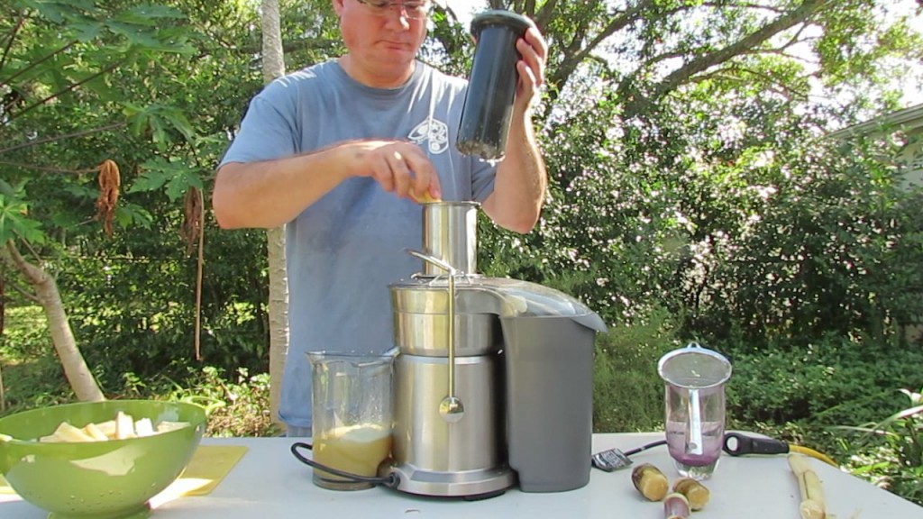 How to Juice Sugar Cane with a Breville Juicer Blog The Beach
