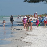 The weekend crowd at North Beach on Fort Desoto.