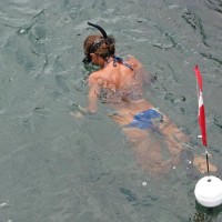 Snorkeling is a very popular and worthwhile activity at Sebastian Inlet State Park.