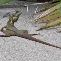 img_2744-cropped-web