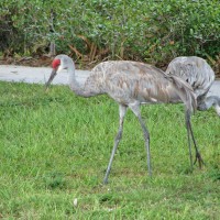 img_4581-web-800x600