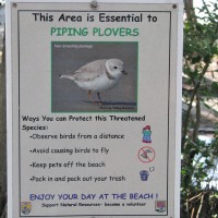plover-sign-ft-desoto-web