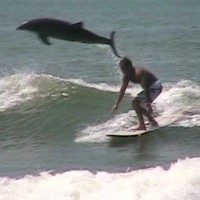 I got lucky and captured on video this dolphin jumping out of the water behind a surfer.