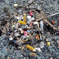 Oceans of Plastic A decomposing sea bird carcass reveals a stomach full of plastic.