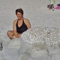 Since it's not turtle nesting season, a sand turtle is about the only kind of turtle you'll find on the beach in February.