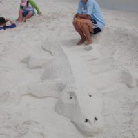 Alligators don't normally hang out at the beach, so this "albino" gator attracted Suzy's attention. She was kind enough to send me this photo.