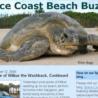Visit my friend Marge's Space Coast Beach Buzz Blog and you'll learn a lot.
