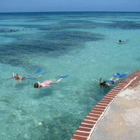 Snorkeling near Fort Jefferson on Garden Key, Dry Tortugas National Park.