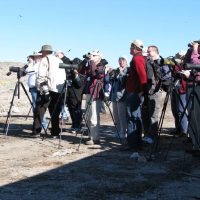 Watching gulls at the landfill, not your everyday pastime, but it works for these folks.