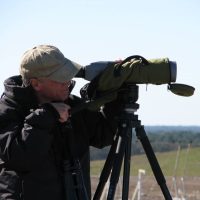 A spotting scope in use in the field. A got a good look at a Lesser Black-backed gull through this scope.