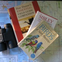 birding tools