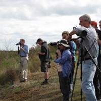 Birding with Pete Dunne at Blue Heron Wetlands