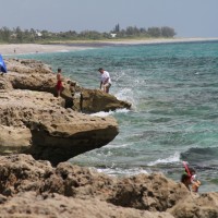 Blowing Rocks Preserve, Florida. Copyright Kevin Mims 2010.