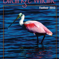 16th Annual Space Coast Birding & Wildlife Festival Registration is Open 16th Annual Space Coast Birding & Wildlife Festival catalog cover