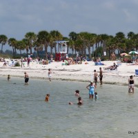Question: What Beach Do You Recommend Near Tarpon Springs? Fred Howard Park Beach