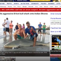 Chance of being bitten by shark in Florida